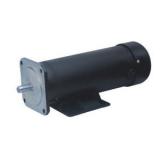 123ZYT Series Electric DC Motor 123ZYT-110-1000-1700