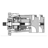 Dansion P080 series pump P080-02R1C-R5P-00